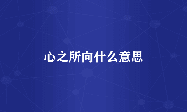 心之所向什么意思