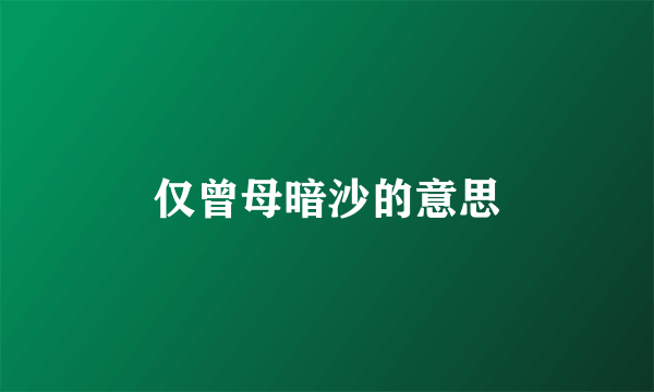 仅曾母暗沙的意思