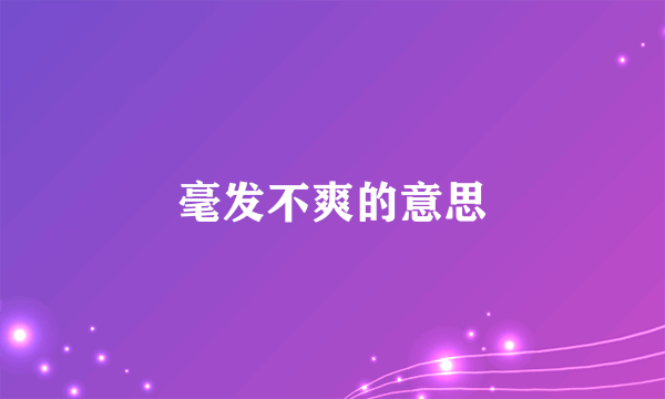毫发不爽的意思