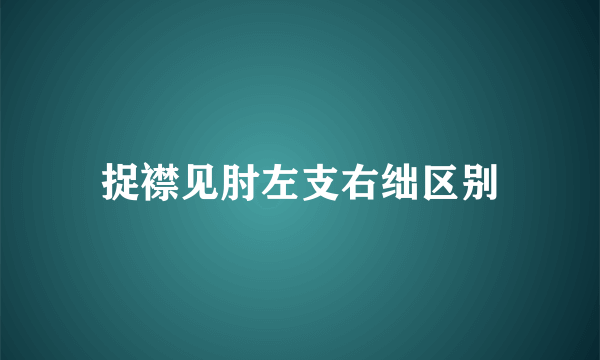 捉襟见肘左支右绌区别