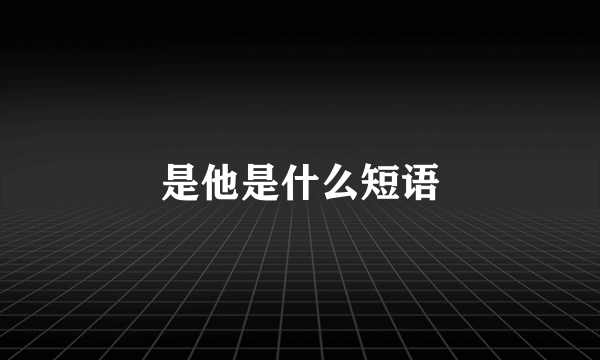 是他是什么短语