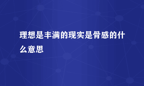 理想是丰满的现实是骨感的什么意思