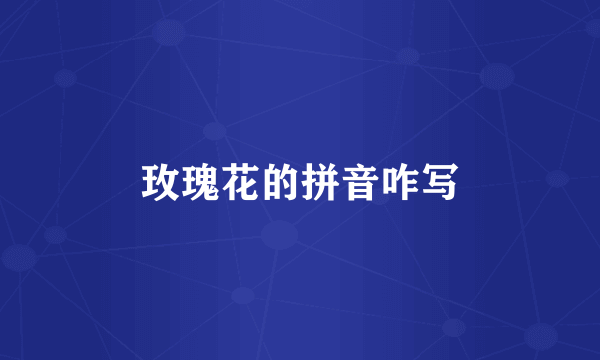 玫瑰花的拼音咋写