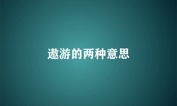 遨游的两种意思