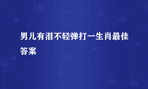 男儿有泪不轻弹打一生肖最佳答案