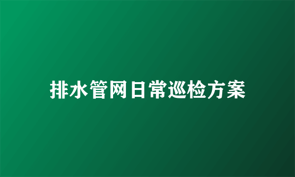 排水管网日常巡检方案