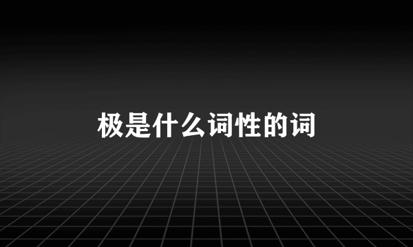 极是什么词性的词