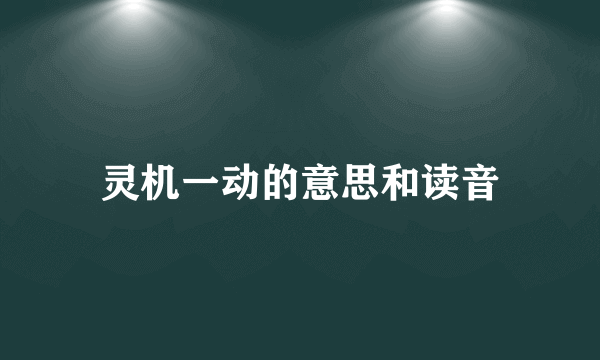 灵机一动的意思和读音