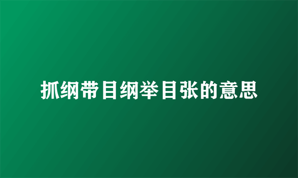 抓纲带目纲举目张的意思