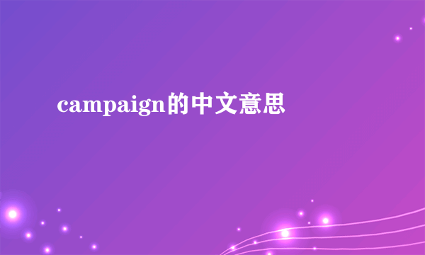 campaign的中文意思