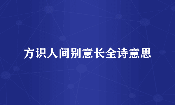 方识人间别意长全诗意思