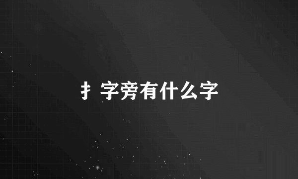 扌字旁有什么字