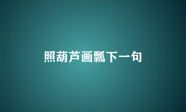 照葫芦画瓢下一句