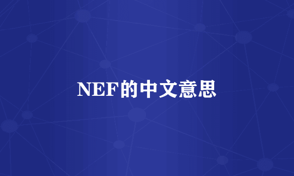 NEF的中文意思