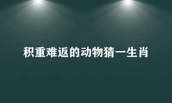 积重难返的动物猜一生肖