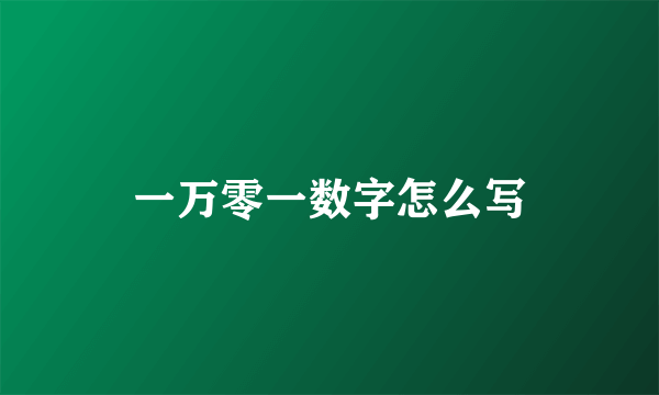 一万零一数字怎么写