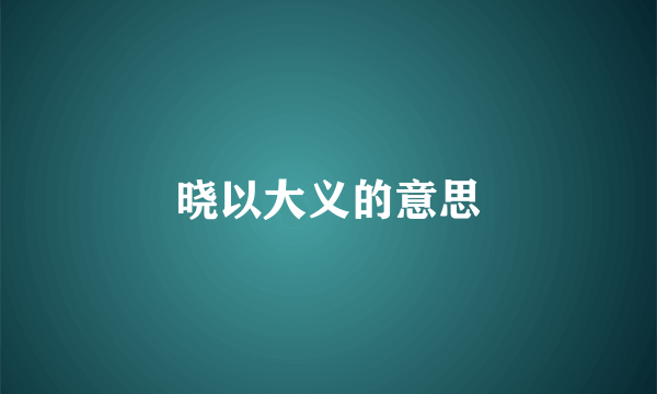晓以大义的意思