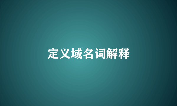 定义域名词解释