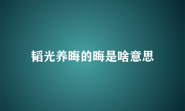 韬光养晦的晦是啥意思