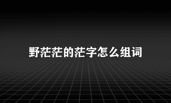 野茫茫的茫字怎么组词