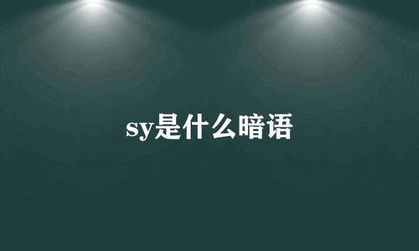 sy是什么暗语