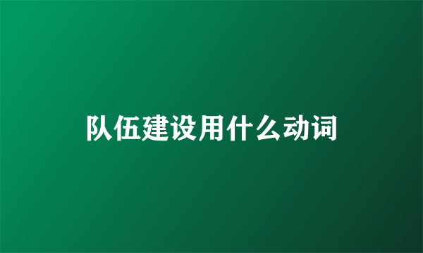 队伍建设用什么动词