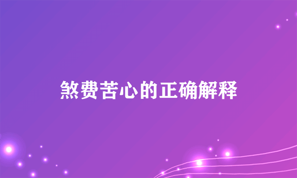 煞费苦心的正确解释