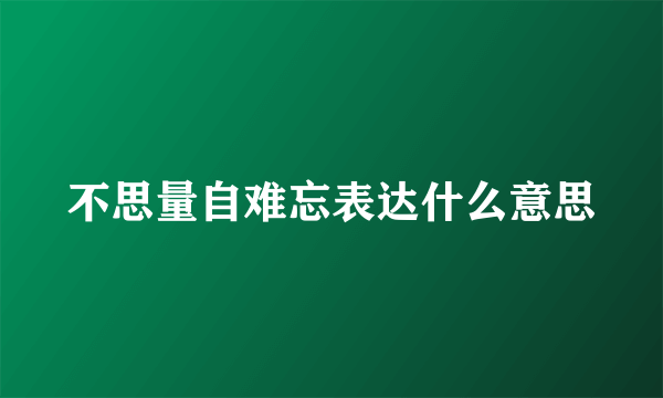 不思量自难忘表达什么意思