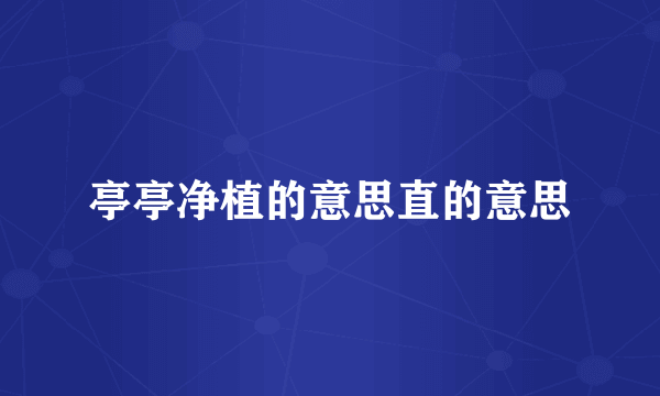 亭亭净植的意思直的意思