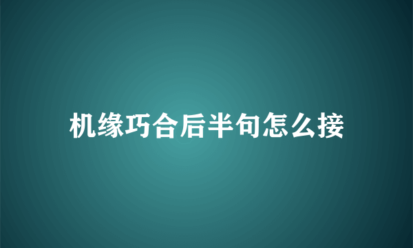 机缘巧合后半句怎么接
