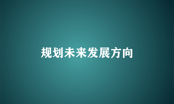 规划未来发展方向