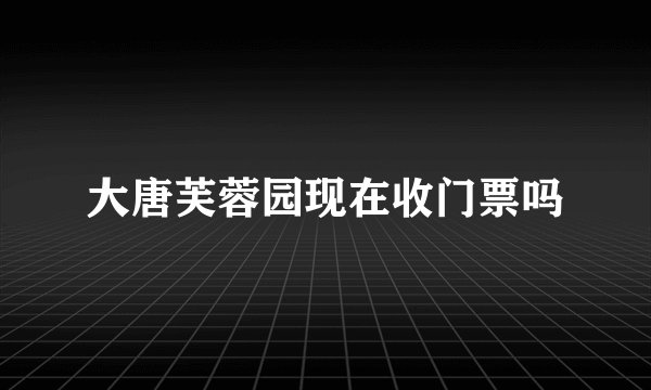 大唐芙蓉园现在收门票吗