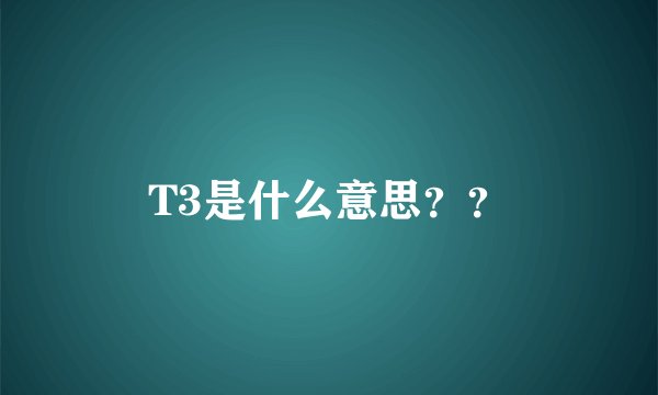 T3是什么意思？？