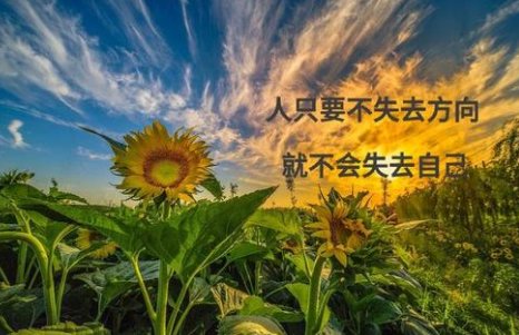 《成大事者》的经典语录是什么?