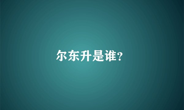 尔东升是谁？