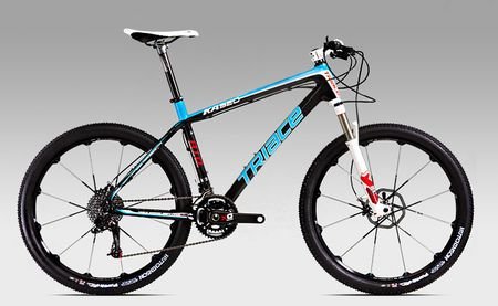 骓驰是什么意思