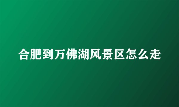 合肥到万佛湖风景区怎么走