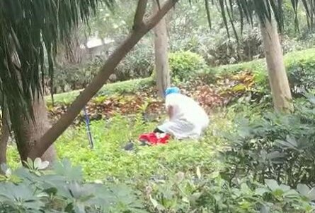 海南红衣女子阳台坠楼自杀，网友们从中都发现了哪些疑点？