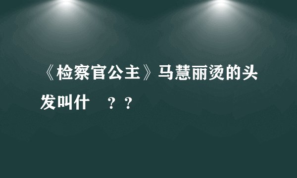 《检察官公主》马慧丽烫的头发叫什麼？？