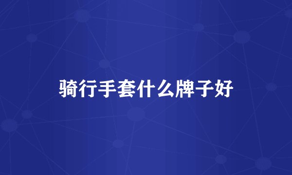 骑行手套什么牌子好