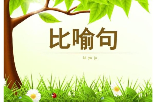 用像什么像什么，我什么造句。