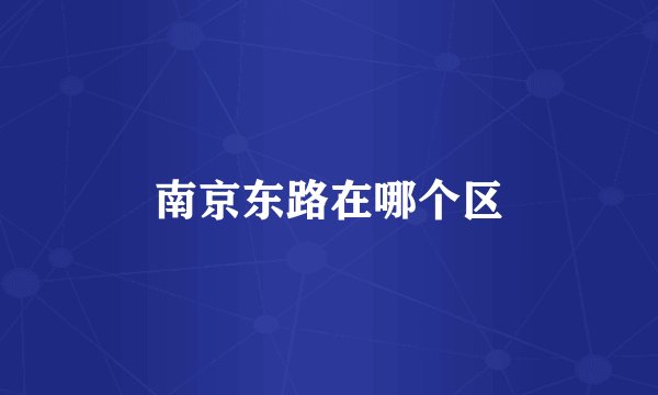南京东路在哪个区