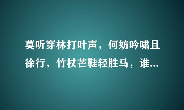 莫听穿林打叶声，何妨吟啸且徐行，竹杖芒鞋轻胜马，谁怕？一蓑烟雨任平生这诗句表达了什么样子的意境