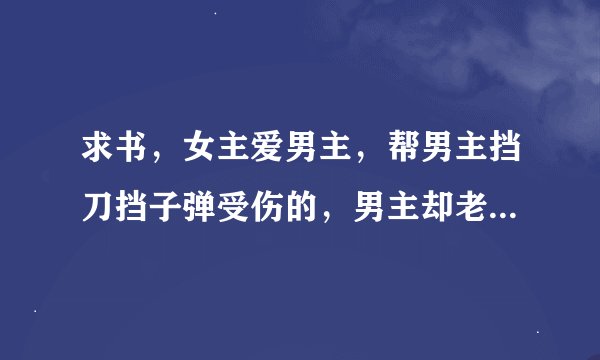 求书，女主爱男主，帮男主挡刀挡子弹受伤的，男主却老是为另一个女人伤害她。 最好是都市