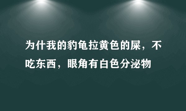 为什我的豹龟拉黄色的屎，不吃东西，眼角有白色分泌物
