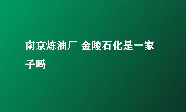 南京炼油厂 金陵石化是一家子吗