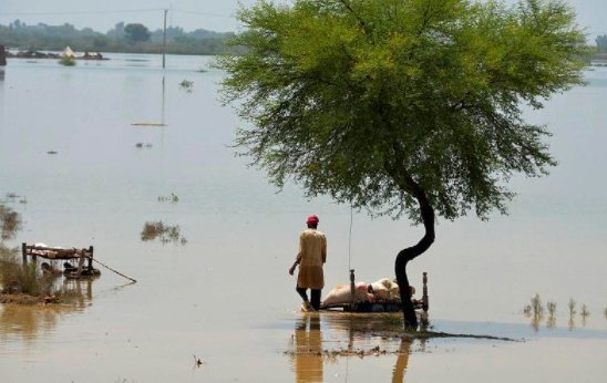 巴基斯坦洪水形成100公里宽内陆湖，当地居民的生活受到了哪些影响？