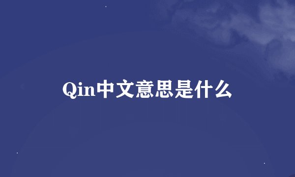 Qin中文意思是什么