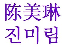 陈美琳翻译韩文怎么写