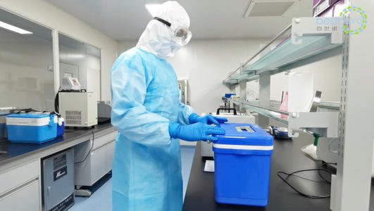 2乘客篡改检测结果赴华被遣返,这种行为有多恶劣?